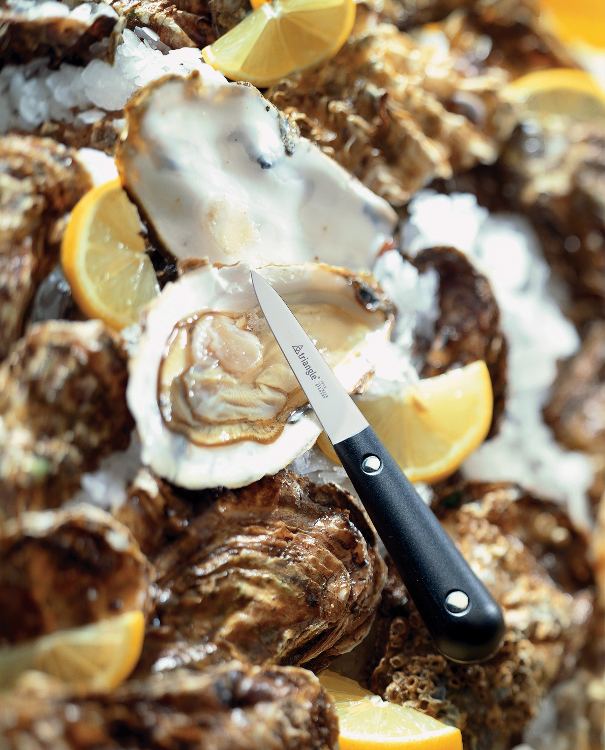 54 203 07 02_5420307-i01-web.jpg 5420307-i01-web