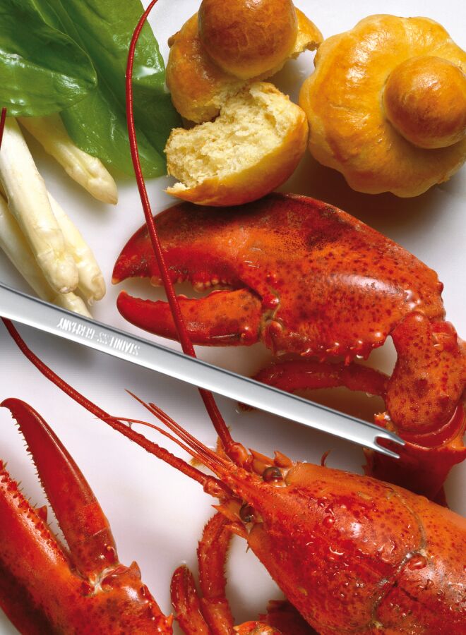 50 480 20 00_5048020-u01.jpg 5048020-u01