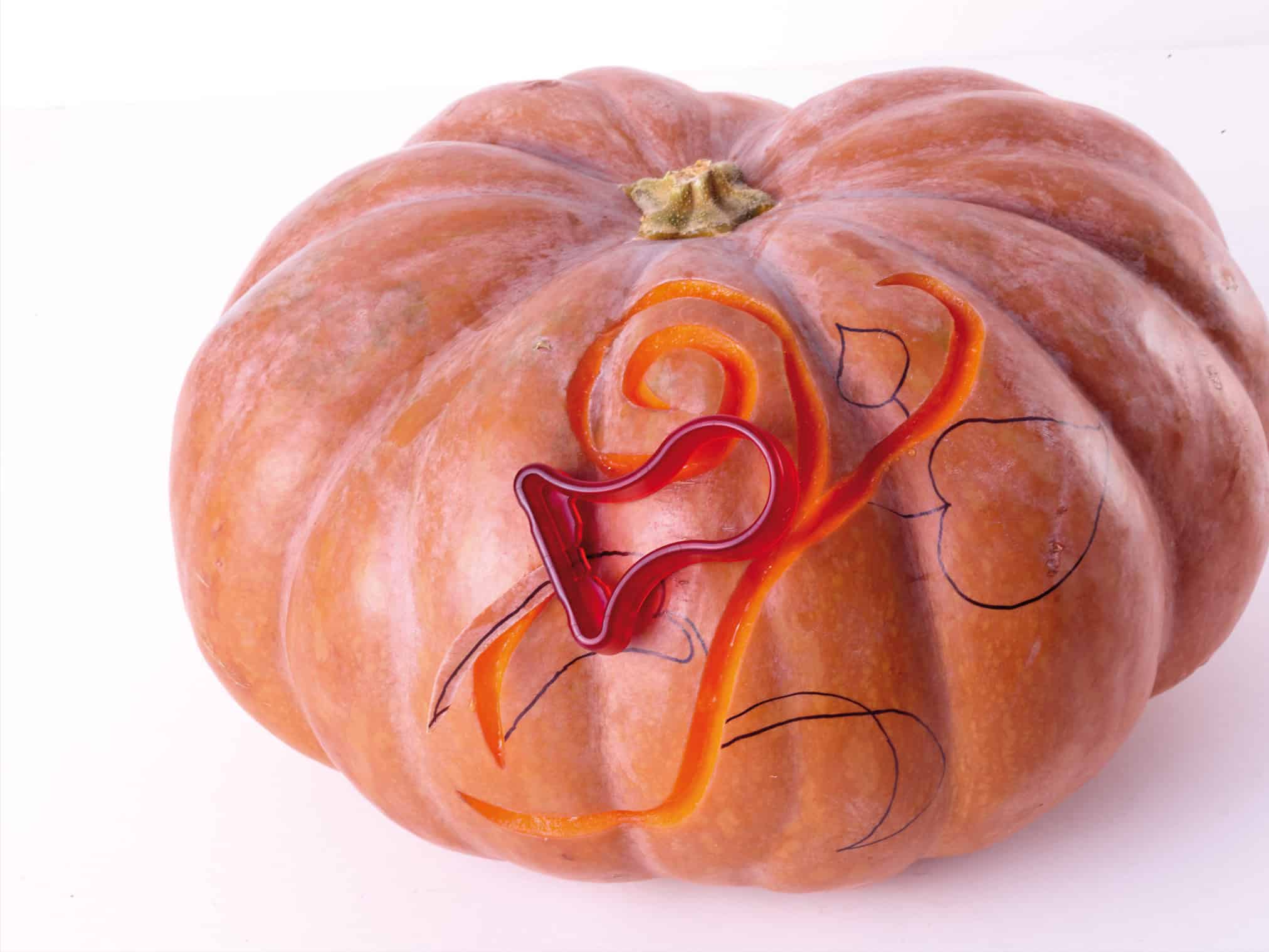 5017312_u03_4zu3_landscape