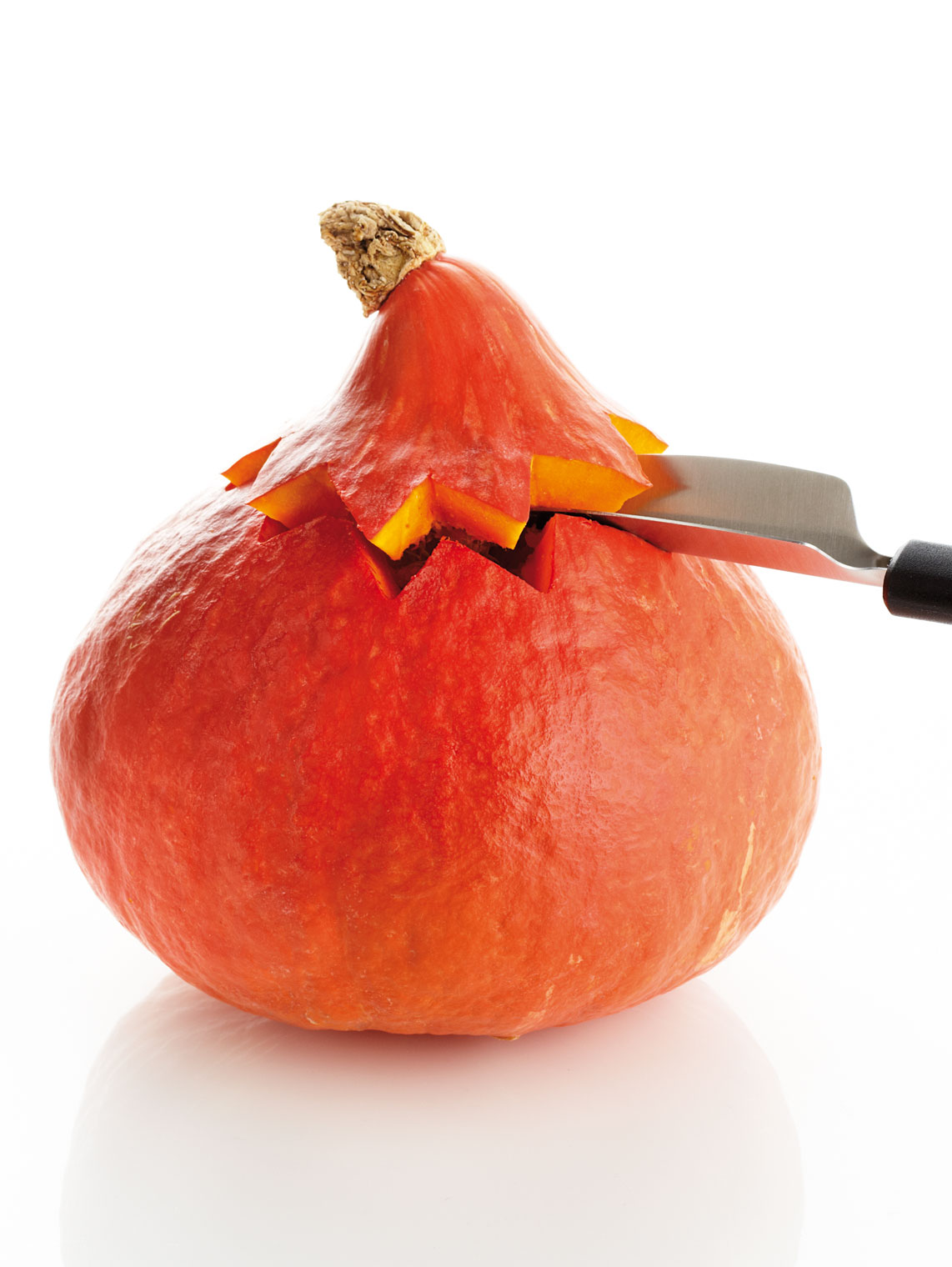 72 012 10 00_7201210_u01_web.jpg Fruchtdekorierer