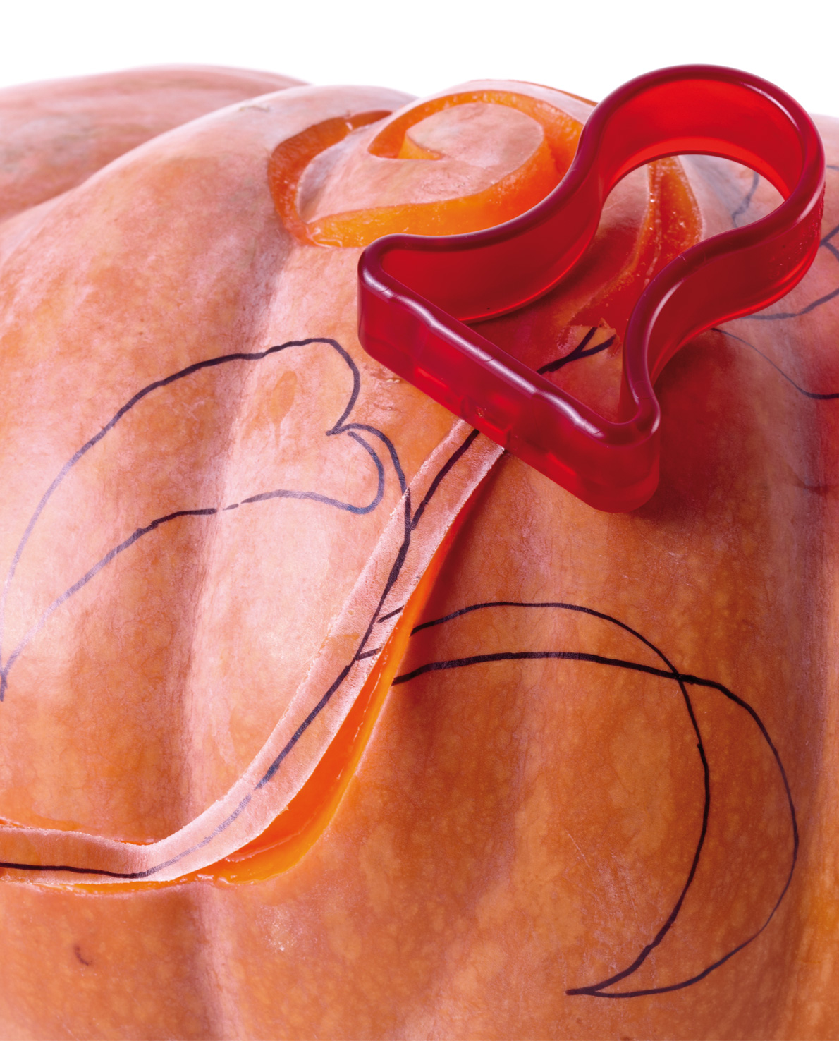 90 176 02 10_5017312-u02-web.jpg 5017312-u02-web