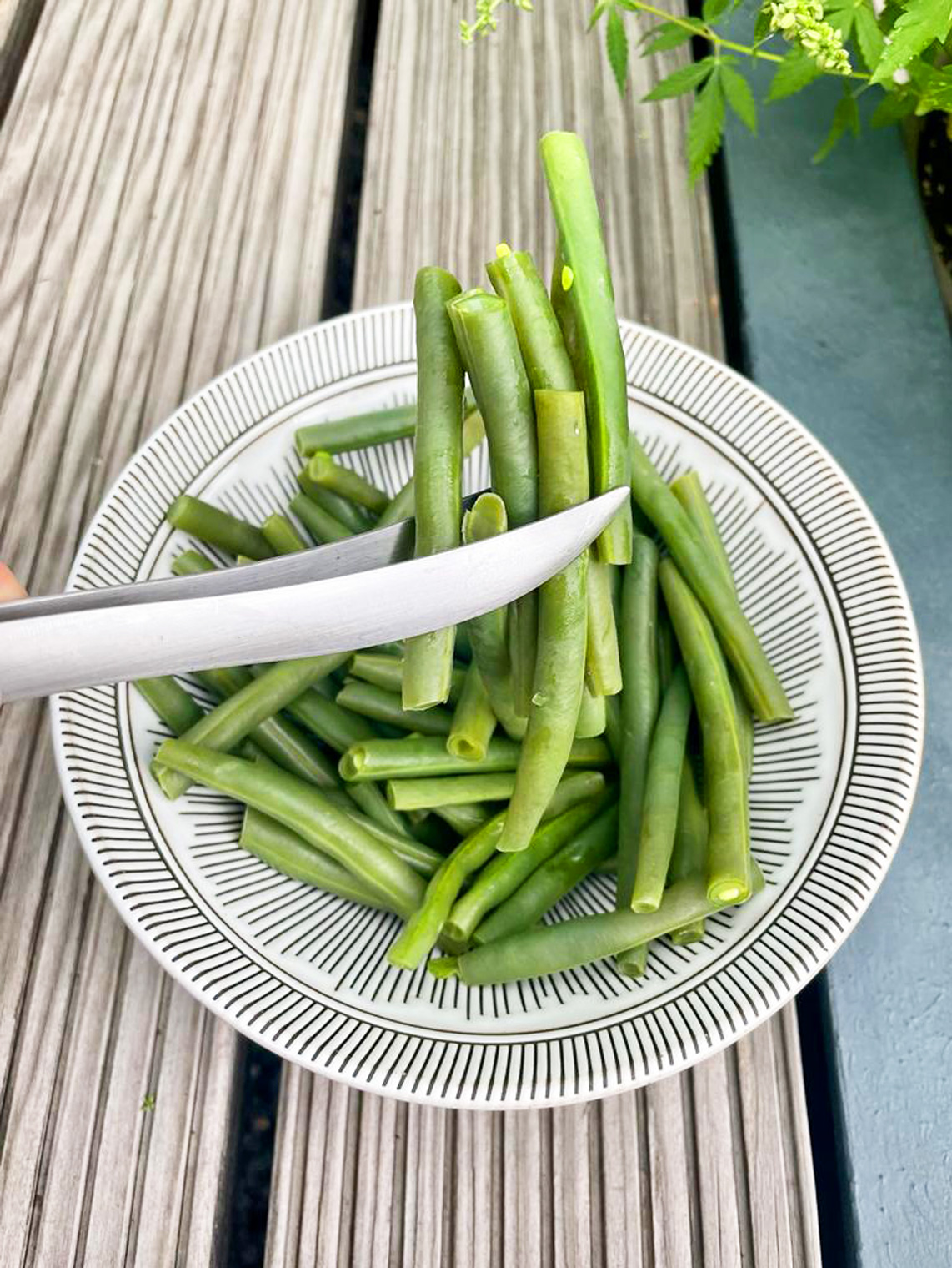 50 496 19 04_5049619_i03_web.jpg Gourmetpinzette im Geschenkkarton