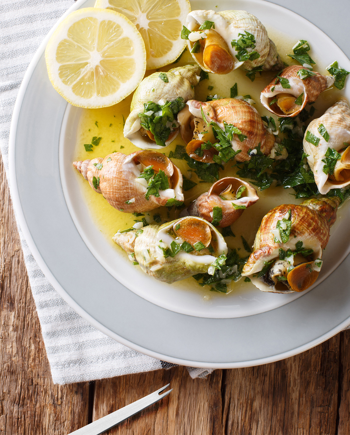 90 499 06 03_9049906-i01-web.jpg 9049906-i01-web