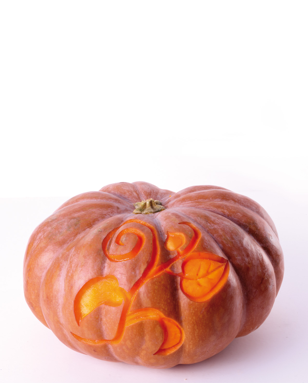 50 172 12 00_5017312-u15-web.jpg 5017312-u15-web