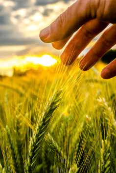 Amfori-Blogbeitrag-Bilder-3