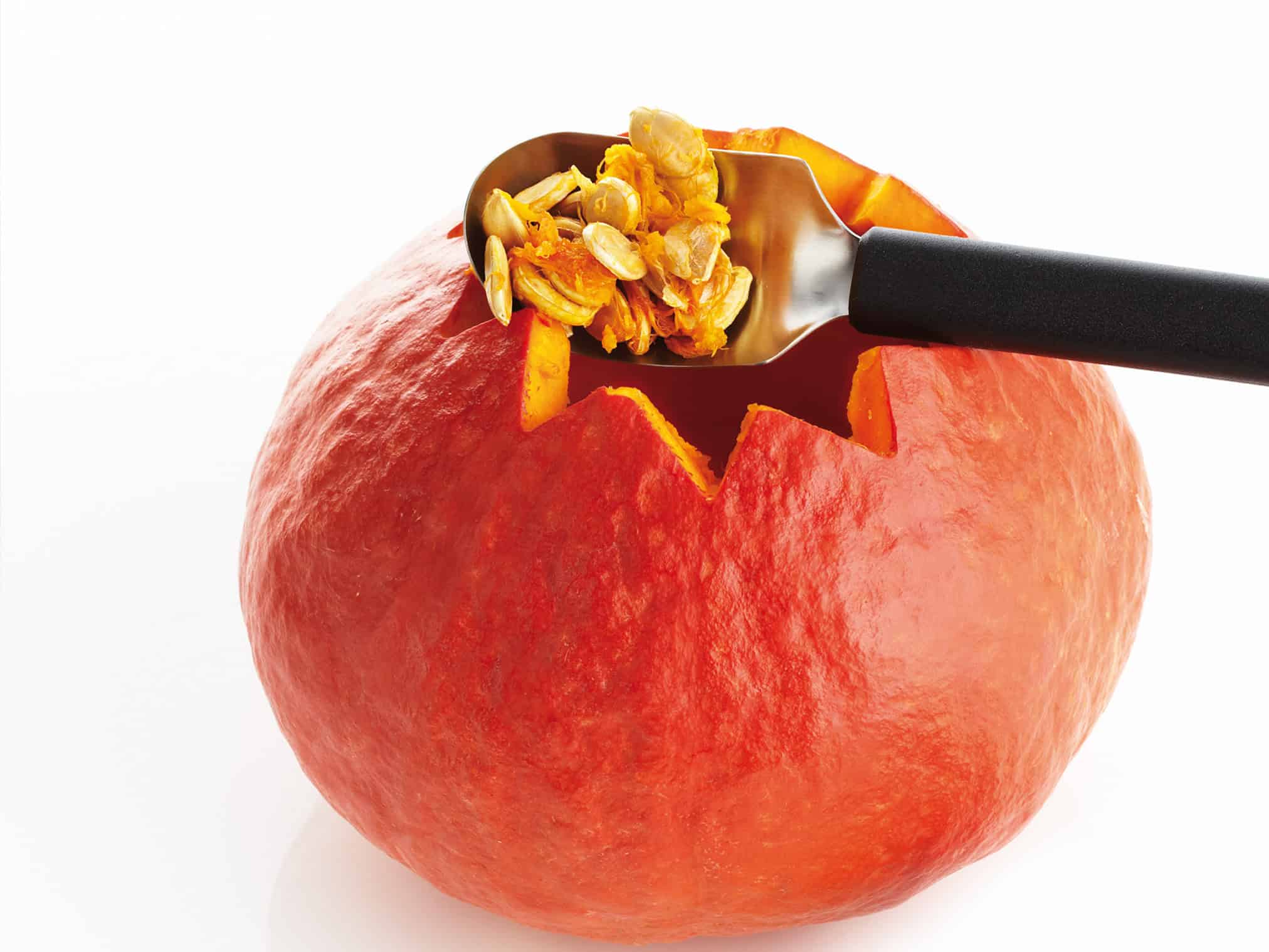 7282060_u03_4zu3_landscape