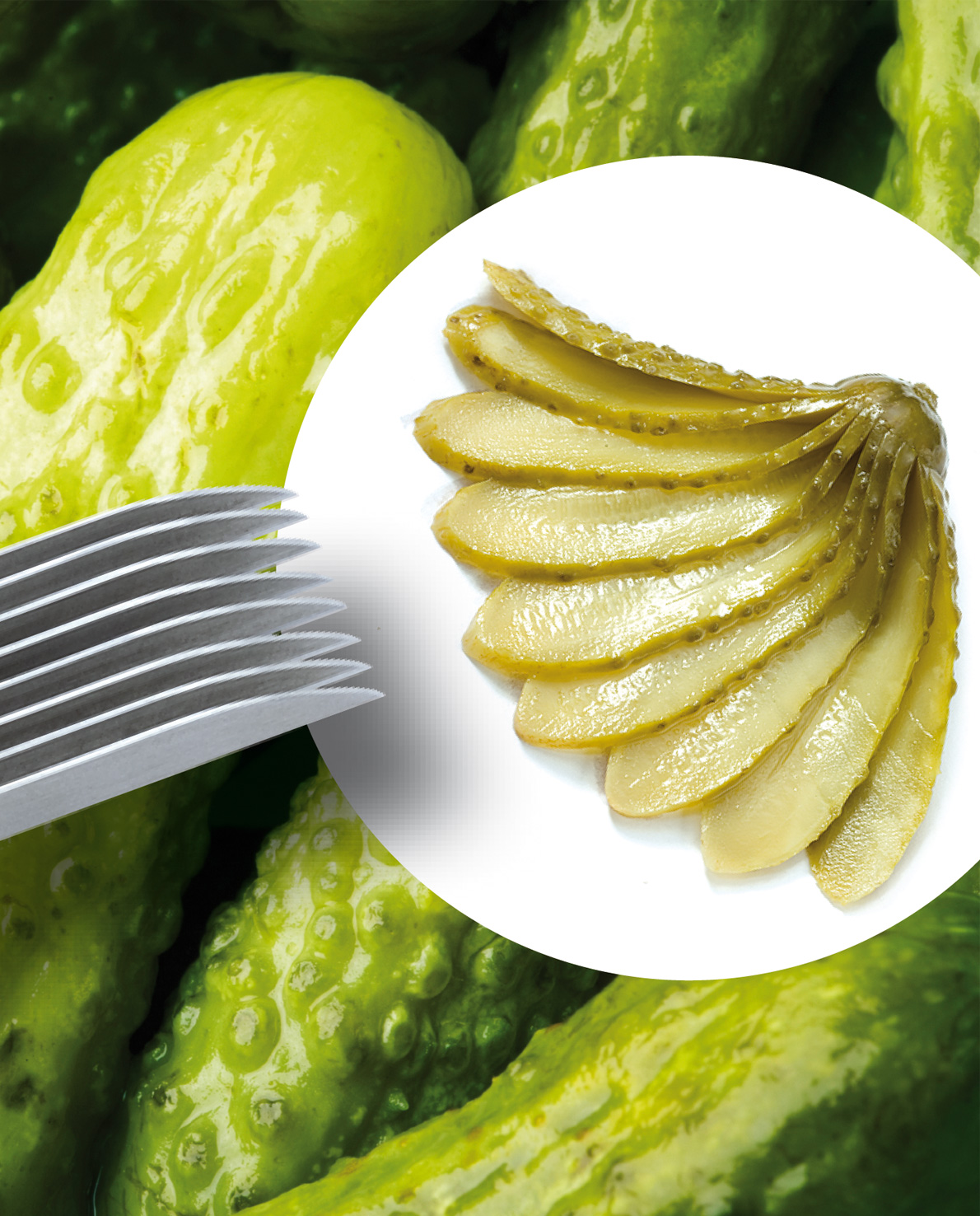 72 098 08 00_7209808-u01-web.jpg 7209808-u01-web