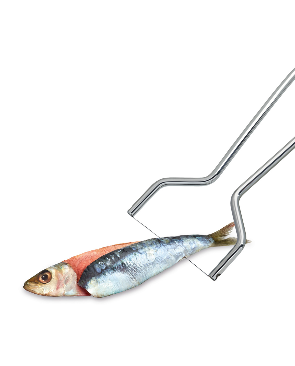 50 199 65 02_5019965-v03-web.jpg 5019965-v03-web