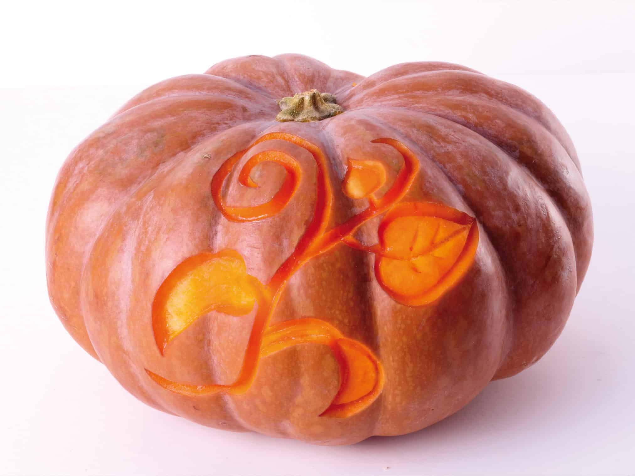 5017312_u05_4zu3_landscape