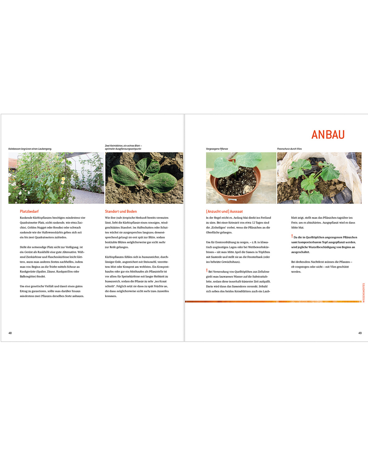 SA 0369_SA0369-v02-web-1.jpg SA0369-v02-web-1