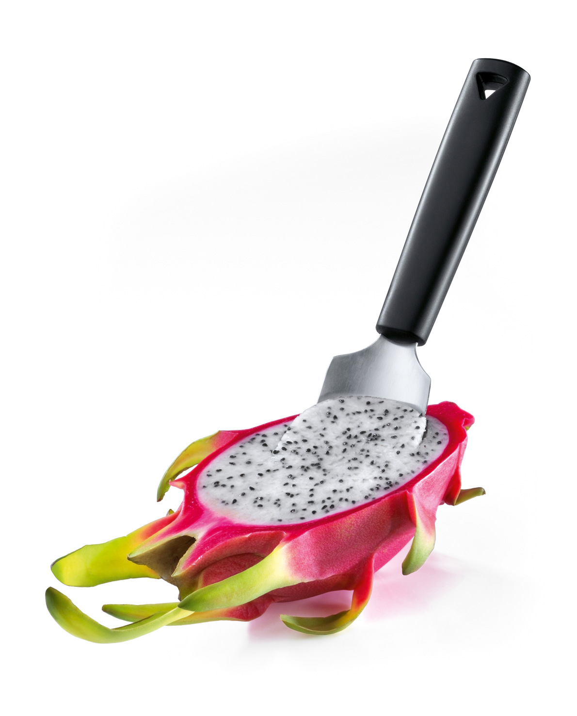 72 820 60 02_7282060-pithaya-v01-web.jpg 7282060-pithaya-v01-web