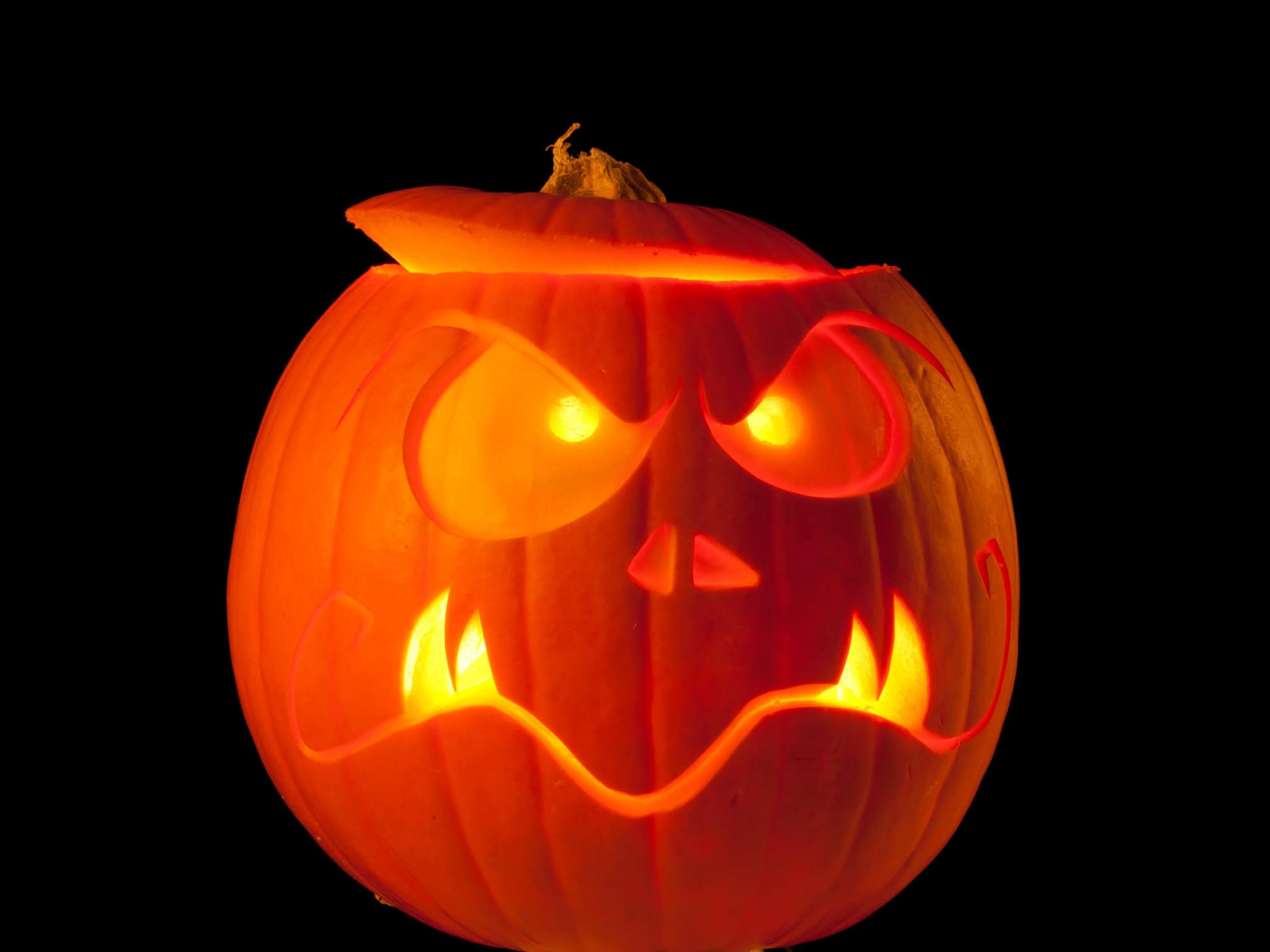 Comes_Kuerbis_4zu3_landscape