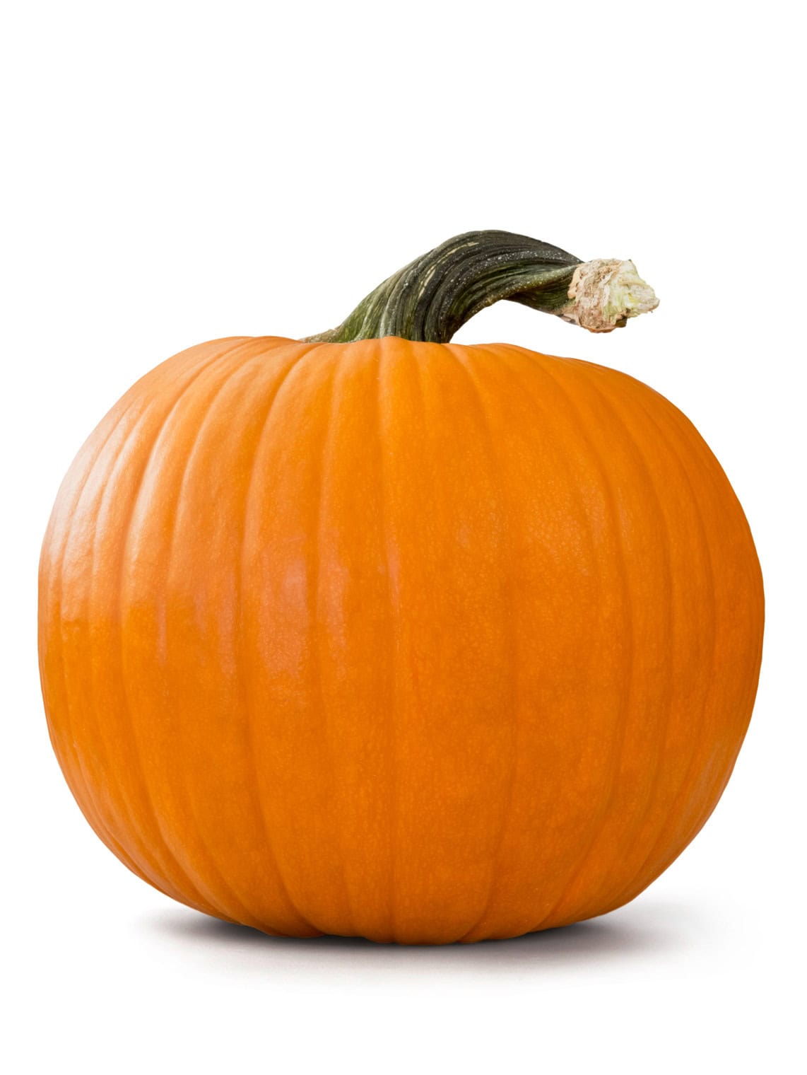 Halloween_kuerbis_4zu3_portrait