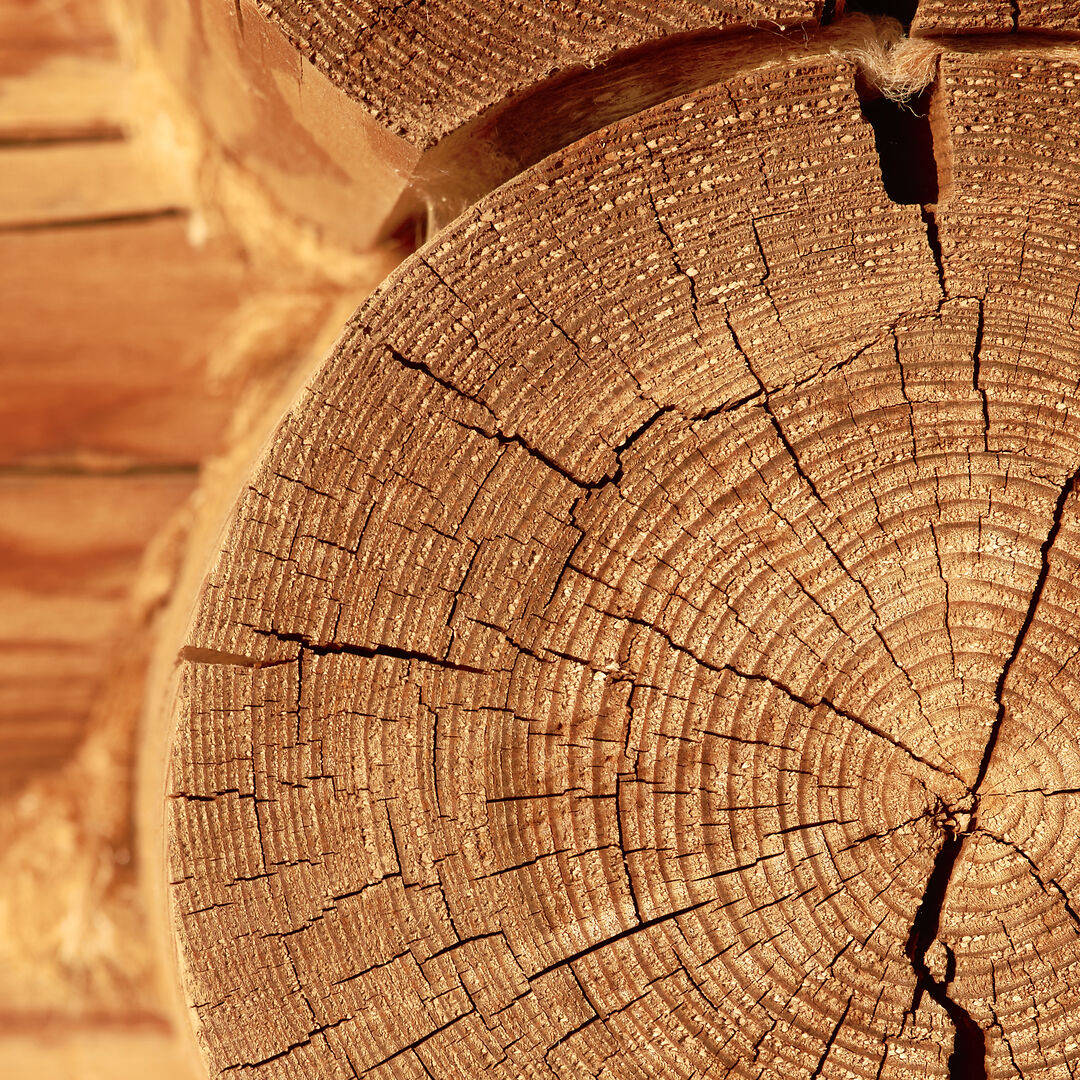 Holz_shutterstock_109389461