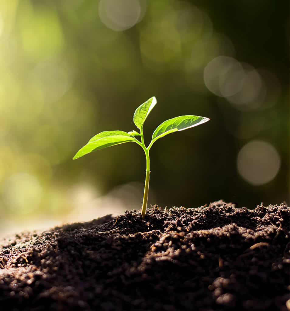 gelebte-nachhaltigkeit_slider gelebte-nachhaltigkeit_slider