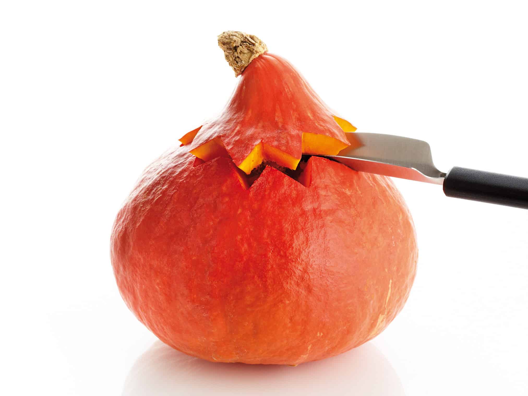 7201210_u01_4zu3_landscape